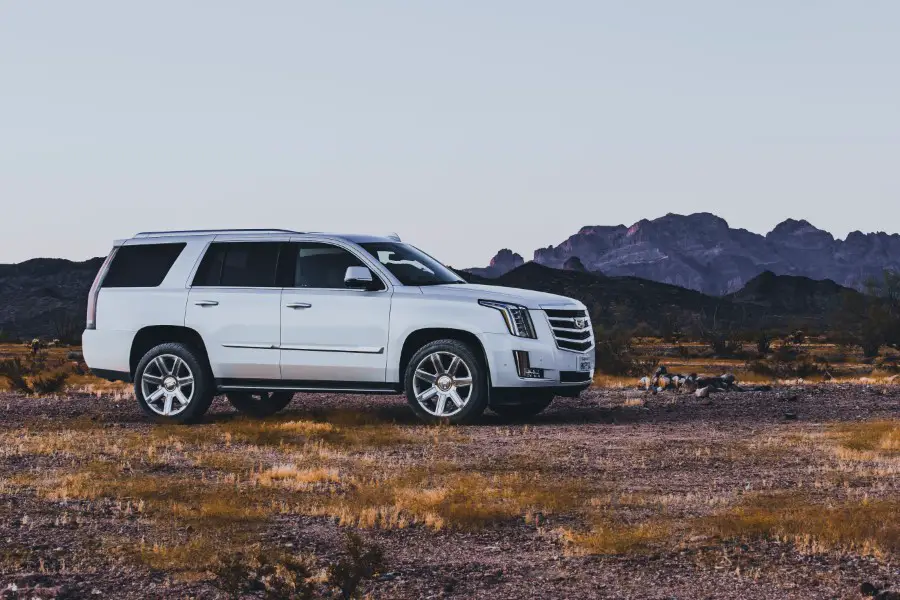 White Cadillac Escalade ESV Pictures