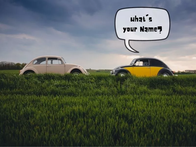 Car Name Ideas