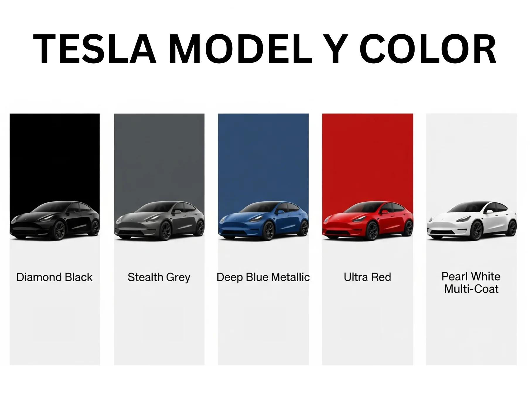 2025 Tesla Model Y Color Availability infographic 